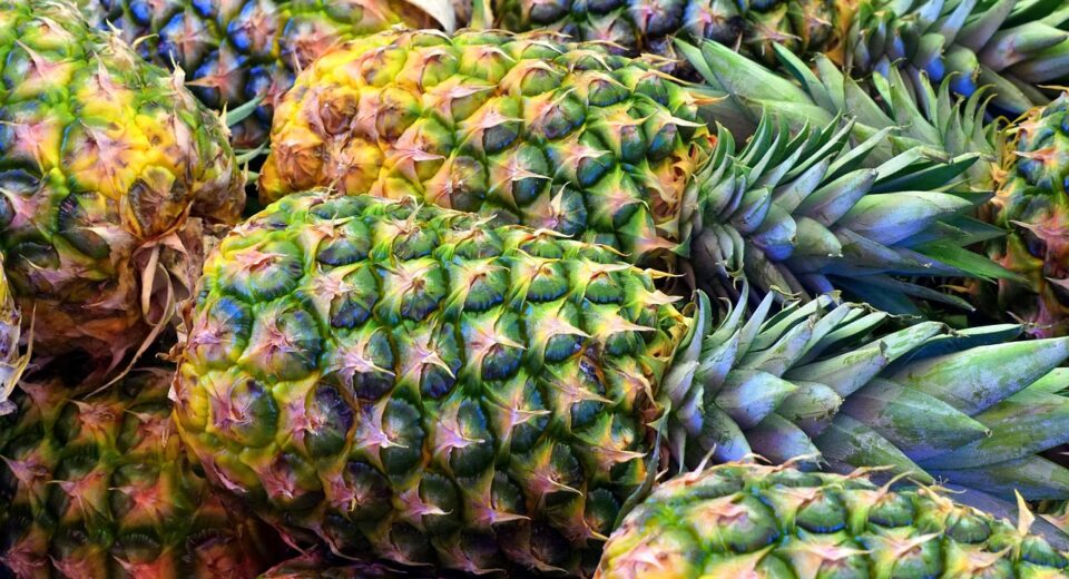 Ananas zdravlje