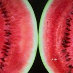 Alkoholizam – bolest koja se može pobediti