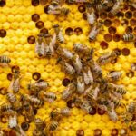 Revolucija u dijagnostici raka: Engleska uvodi test iz krvi koji zamenjuje klasične biopsije