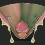 Disanje levom nozdrvom: Stari trik za snižavanje pritiska