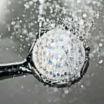 Japanska jabuka – voće koje osvaja bojom, ukusom i zdravljem