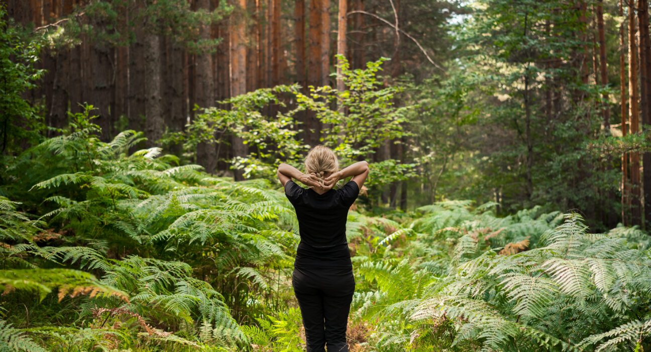 Boravak u sumi dobar za zdravlje