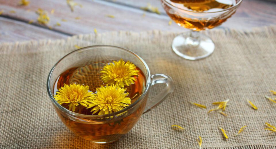 Caj od maslacka za lecenje raka