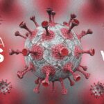 Komorač: prirodni lek za varenje, kašalj i hormonalni balans