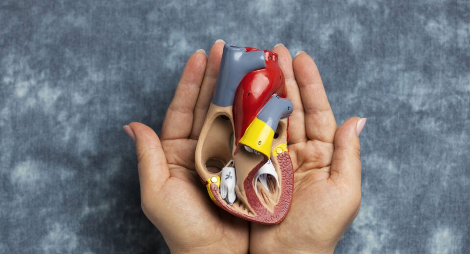 Masti i secer kao najveci krivci po zdravlje savremenog coveka