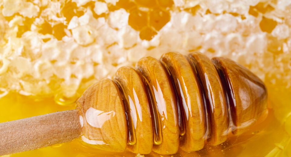 Med lekovita svojstva i zdravstveni benefiti meda