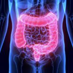 Najbolja maslinova ulja u prodaji u Srbiji – brendovi, cene i ukusi