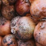 Diskus hernija – uzroci, simptomi i savremeni pristupi lečenju