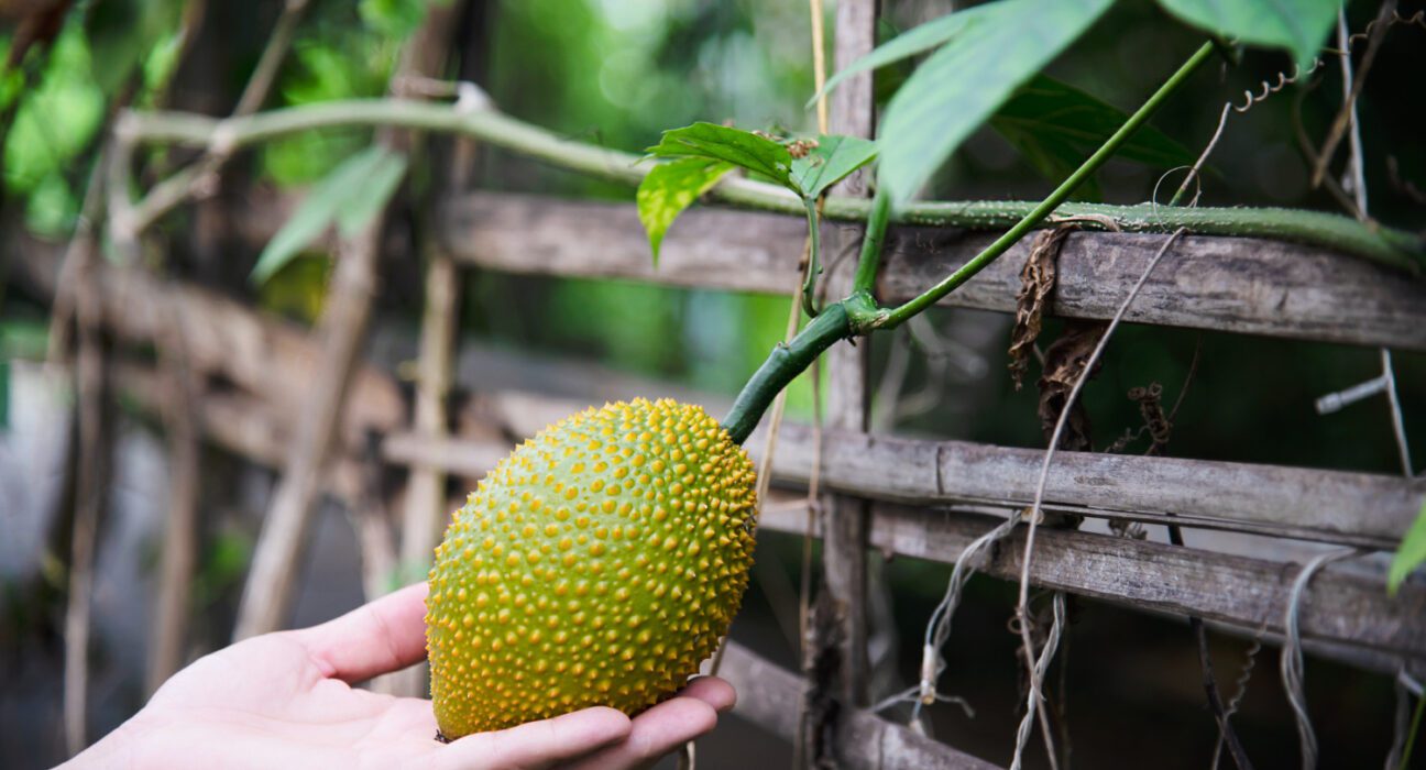 Dezinformacije oko lecenja raka