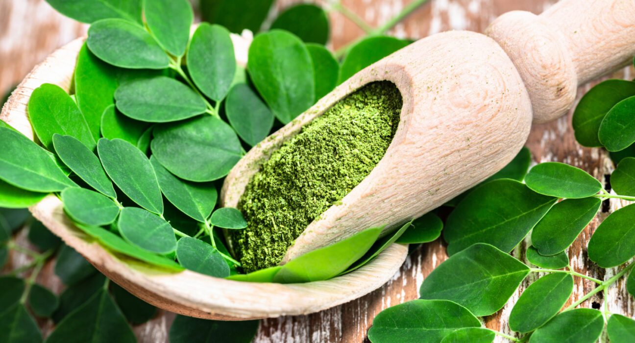 Moringa superbiljka sa izuzetnim nutritivnim vrednostima