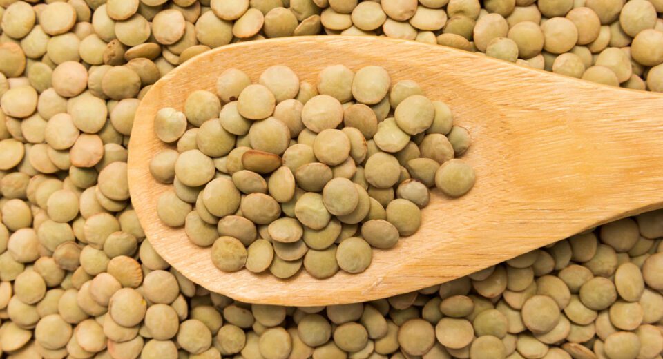 Zeleno socivo prepuno nutrijenata za zdravlje